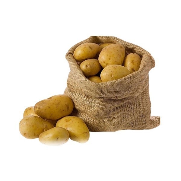 Fresh Agria Fries Potato - 1000 Kg Export